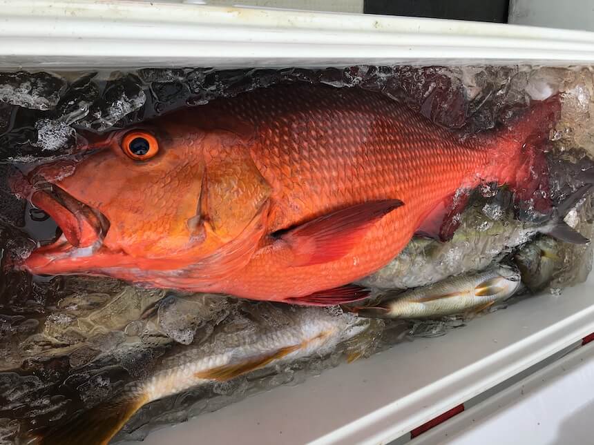 沖縄釣りで大物を釣り上げる