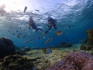真栄田岬サンゴと魚と記念撮影