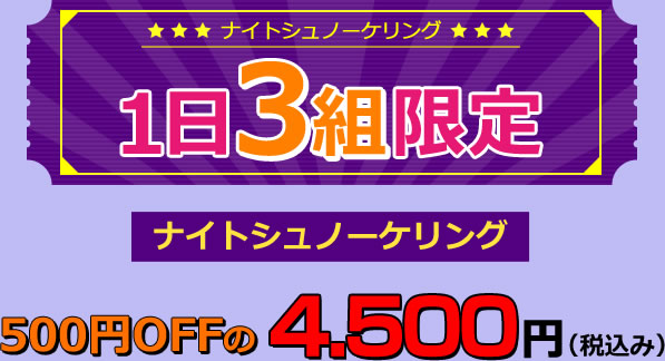 1日3組限定ナイトシュノーケリング500円OFFの4.500円（税込み）