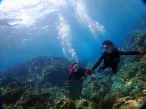 青の洞窟口コミ評価で人気のお店